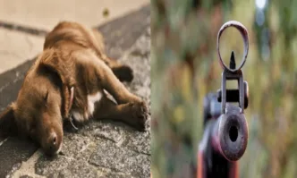 Пореден случай на насилие срещу животно този път в село