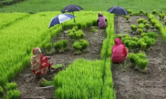 България липсва работна ръка и не е само в туризма