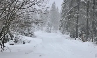 Опасно време: Сняг, студ и виелици днес