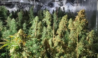 Девет народни представители от Има такъв народ Демократична България Възраждане