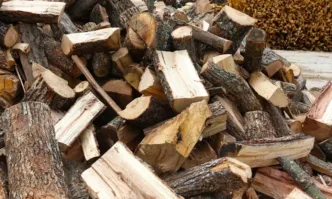 Квотата за закупуване на дърва за огрев от ТП ДГС – Благоевград е пред изчерпване