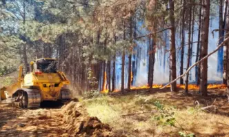 Заместник министърът на земеделието и храните д р инж Мирослав Маринов участва