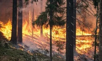 Частично бедствено положение в 4 общини заради големия пожар в Хасковска област