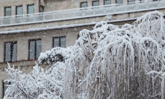 Времето ще е предимно слънчево Минималните температури ще са от