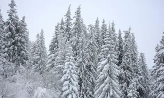 За 25 януари жълт код за поледици обявиха от Националния