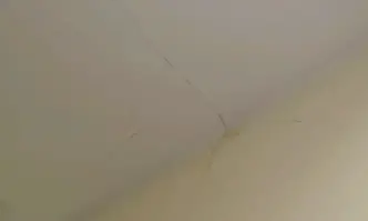 Родители сигнализират за пореден случай на течове и мухъл в