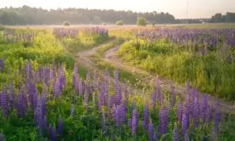 Днес ще е предимно слънчево Около и след обяд ще