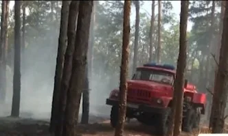 Големият горски пожар до свиленградското село Студена е ограничен