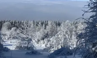 Седмицата преди Коледа започва без валежи с много слънце и