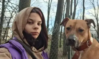 Доброволци взимат кучета от приюти и ги пускат по улиците