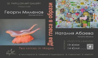 Първият глас е гласът на автора който говори на себе
