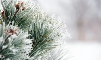 НИМХ обяви жълт код за студено време в цялата странаДнес