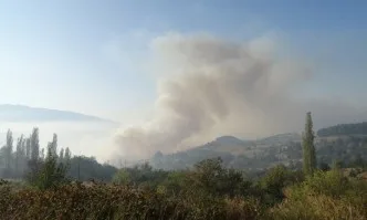 Пожар избухна в гората над Карлово