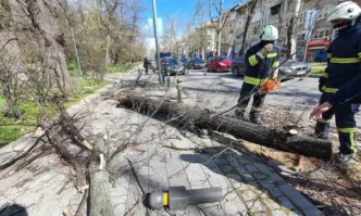 Силният вятър в района на Пловдив и Пазарджик не спира