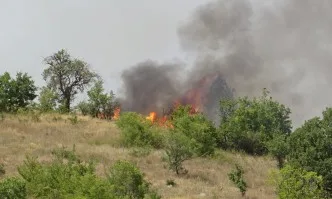 Двама горски служители са загинали при пожара край Сандански