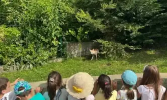 Зам кметът на столичния район Витоша инж Красимир Джамбазов е получил