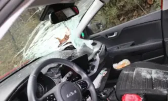 На косъм от трагедията: 20 кг. камък падна върху автомобил в Кресненското дефиле (СНИМКИ)