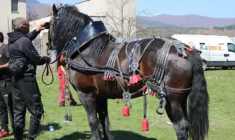 Днес празнуваме Тодорова събота известна като деня на коневъдството и