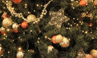 Светлините на коледната елха в София грейват тази вечер