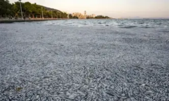 Гръцкото правителство прие серия от мерки за подкрепа на бизнеса