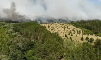 Няма опасност пожарът до Ксанти да стигне до границата с