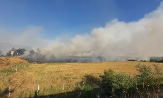 Голям пожар бушува край гара Бобошево
