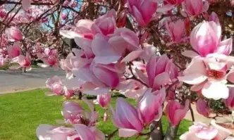 Днес ще бъде предимно слънчево В сутрешните часове все още