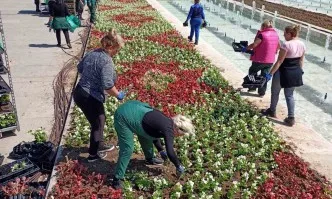 Криле от цветя в парка на НДК