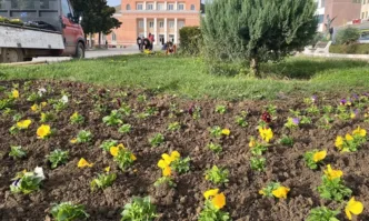 Есента носи цветни акценти в центъра на Луковит