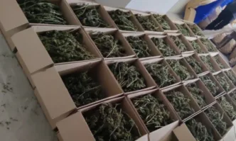 150 кг марихуана иззеха столични полицаи при спецакция в Орландовци