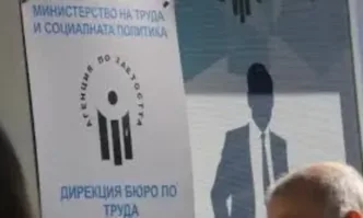 Агенцията по труда намери работа на 11 000 младежи от началото на годината