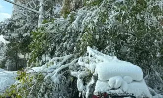 От Фейсбук профила на Николай АлгафариПоловин София без ток затрупани