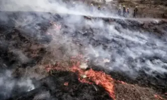 Единият от пожарите в Хасковско е запален от мигранти