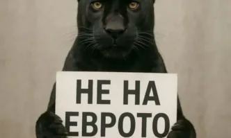 Пантерата е онази пантера от скалния релеф на Мадарския конник, която се е преродила, за да опази левчето