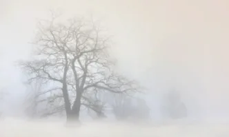 До 50 метра е намалена видимостта поради мъгла в участъка