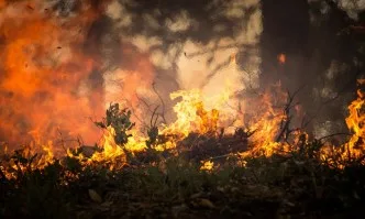 Огненият ад в Калифорния тръгнал от спукана гума