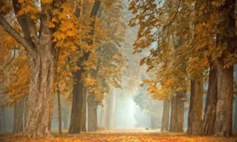 Облачно с валежи през уикенда