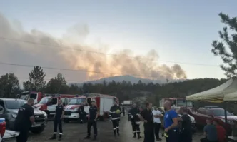 Отпускат 900 000 лева помощи за пострадалите семейства при пожарите