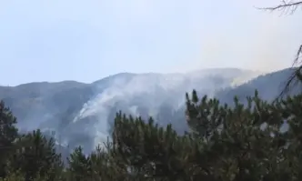 Частично е овладян пожарът край Струмяни