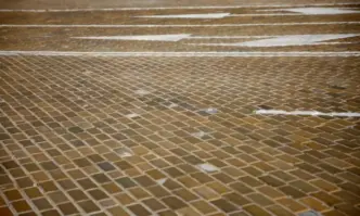 От Фейсбук профила на Ружа РайчеваТЕСТ ИСТИНСКИ ЖЪЛТОПАВЕТНИК ЛИ СТЕ1