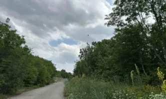 Няма пресни следи от черния леопард в Шумен