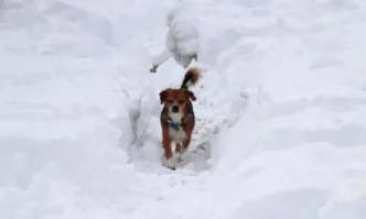 В четвъртък ще бъде облачно Ще има валежи от сняг