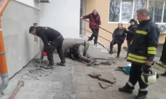 Сигналът е подаден от зоозащитници които установили че при извършване