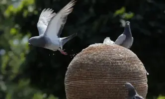 След сравнително прохладно начало на лятото жегите ще ударят с