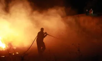 Над 10 вили изгоряха в бургаското село Изворище