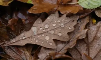Днес от запад облачността ще продължи да се увеличава и