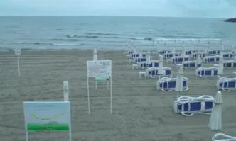 Порция от рибата ще ни струва с поне 1 лев