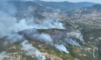 Пожарът над родопското село Хвойна вече обхваща над 1500 дка гора