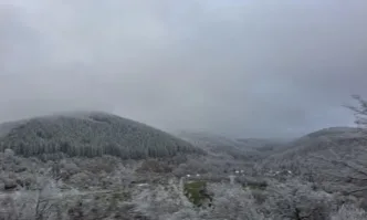 МВР потвърди, че издирва 15-годишно момче, изчезнало с Калушев