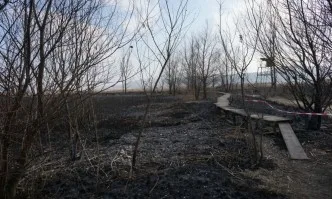 Над 80% от територията на Драгоманското блато е засегната от пожара